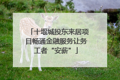 十堰城投东来居项目畅通金融服务让务工者“安薪”